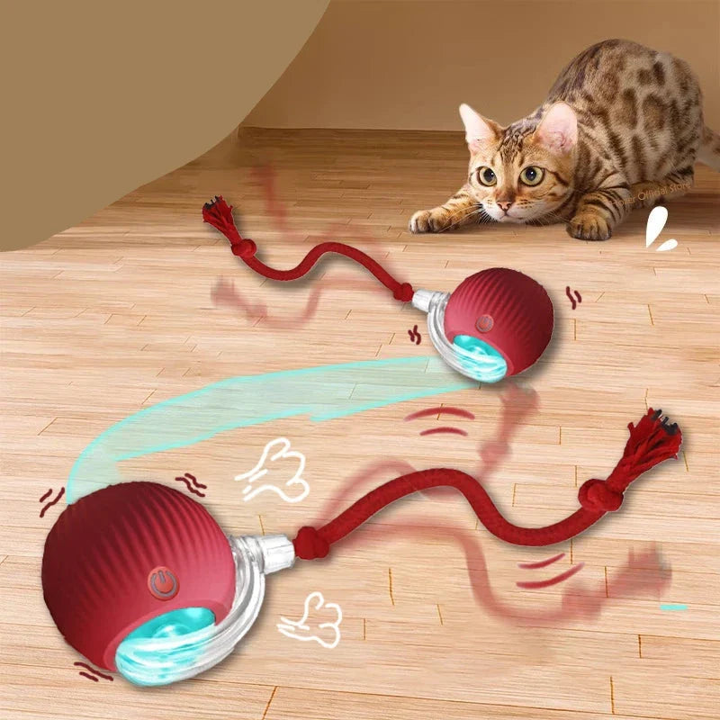 Brinquedo interativo para Gatos FelineBall